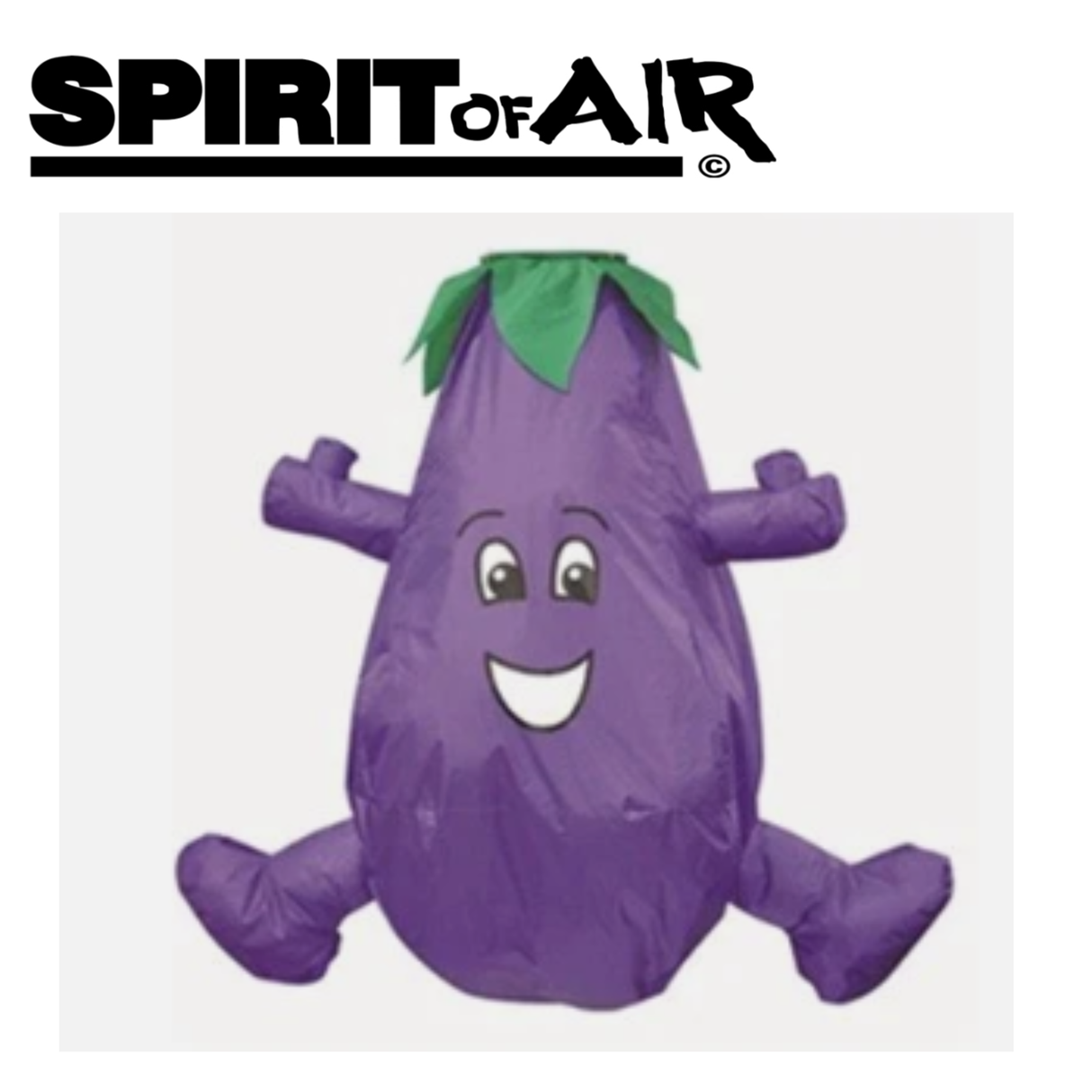 Colorful Spirit of Air fruit and vegetable windsock featuring an aubergine design, perfect for outdoor decoration and garden display.
