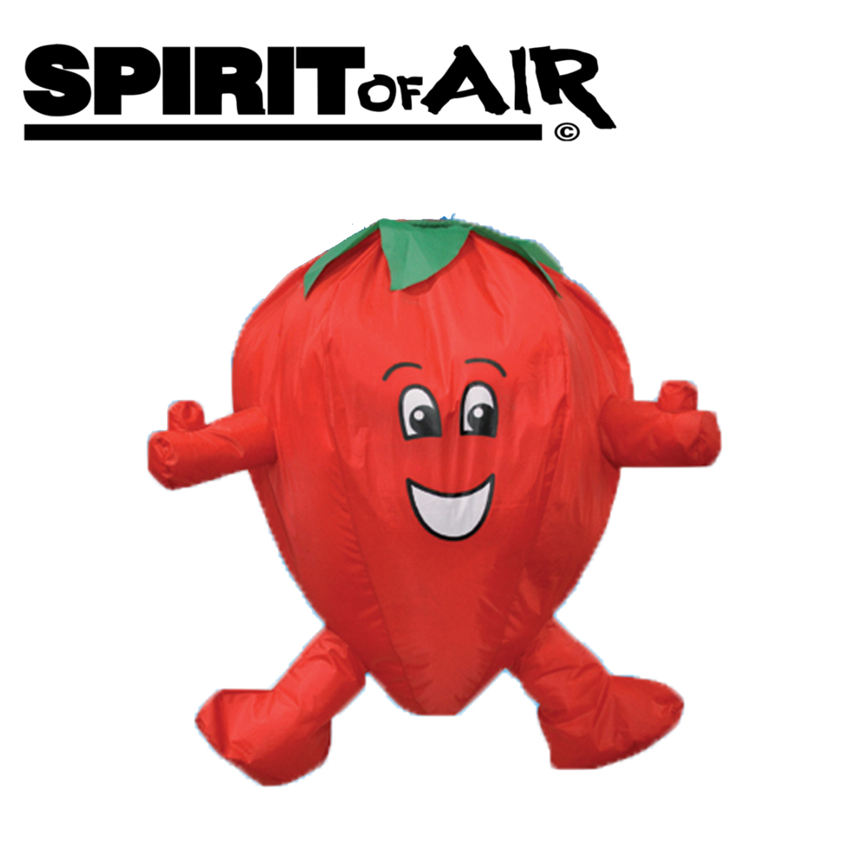 Colorful Spirit of Air Fruit and Veg windsock with vibrant fruit and vegetable patterns, ideal for outdoor decoration.